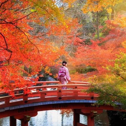 تور لاکچری 9 شب و 10 روز ژاپن (mobility show)